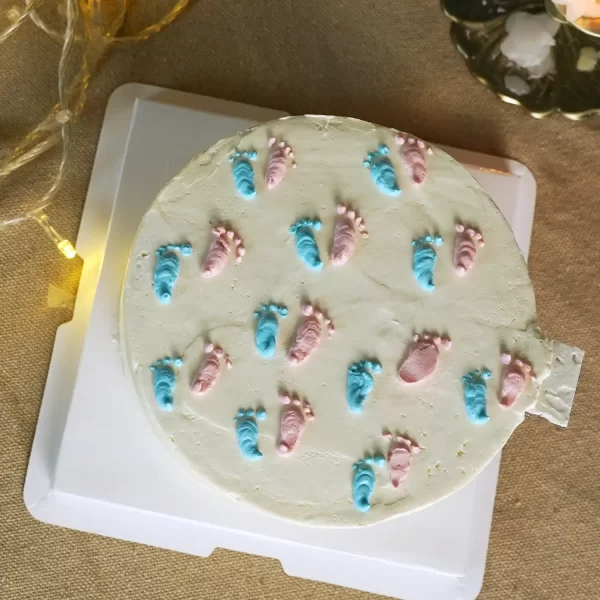 It's a Girl Privy Cake