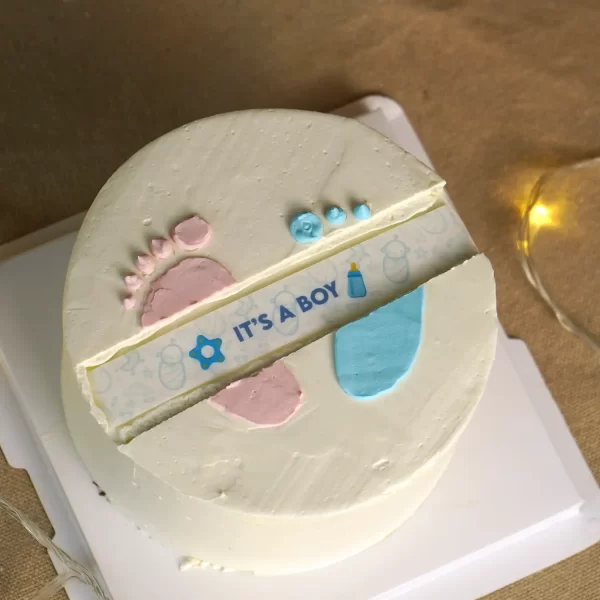 It's a Boy Privy Cake