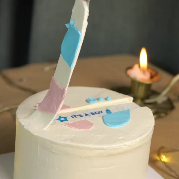 It's a Boy Privy Cake