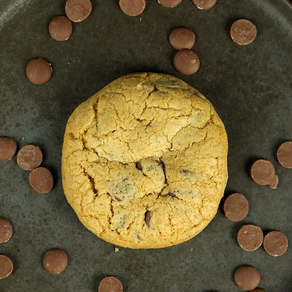 Chocolate Chip Cookie